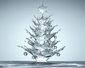albero_natale_acquatico
