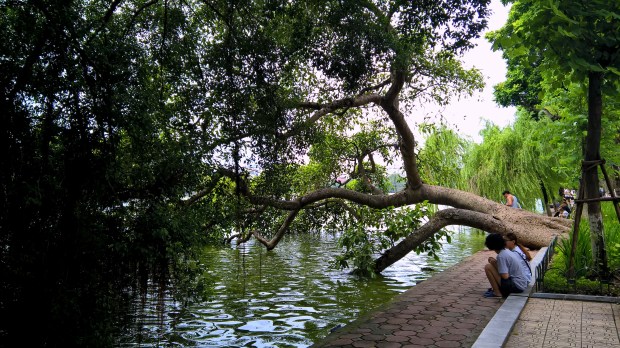 wp_20160821_12_36_27_pro