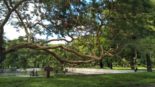 wp_20160730_12_18_14_pro