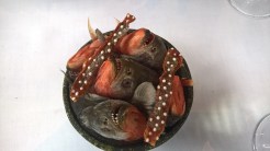 WP_20180726_14_12_59_Pro WP_20180726_14_12_59_Pro