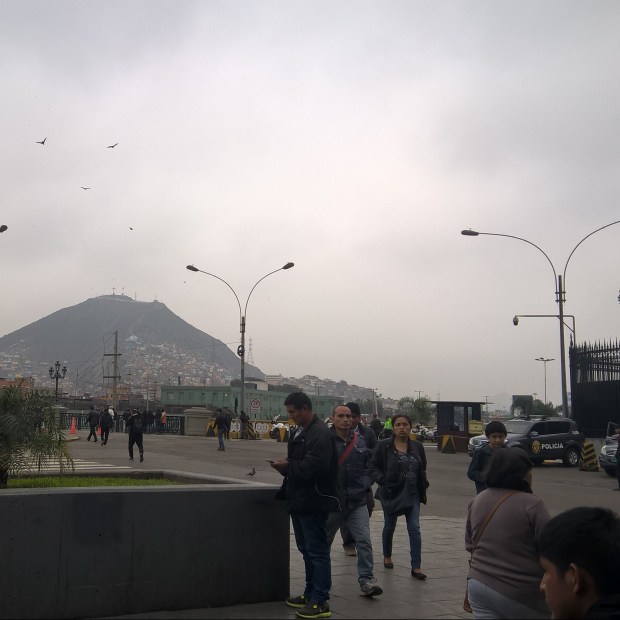 WP_20180727_12_27_50_Pro