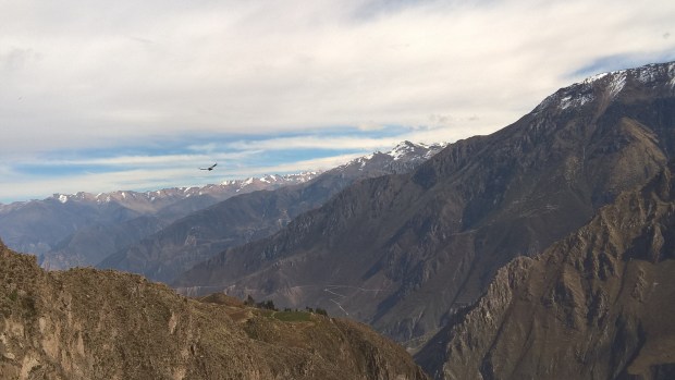 WP_20180802_09_28_22_Pro (3)